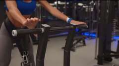 belt squat -Sentadilla con cinturón FIT 25