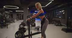 belt squat -Sentadilla con cinturón FIT 25