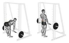 Smith Machine