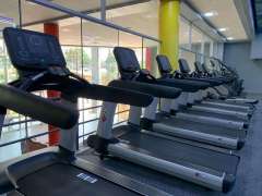 TROTADORA PROFESIONAL +IZO  FITNESS