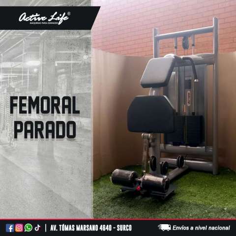 FEMORAL PARADO CON PLACAS