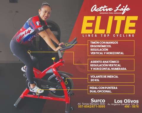 BICICLETA ELITE