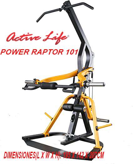 POWER RAPTOR 101