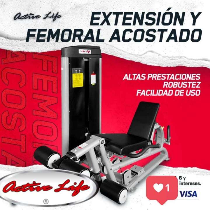 EXTENSIONES Y FEMORALES ECHADO CLASIC